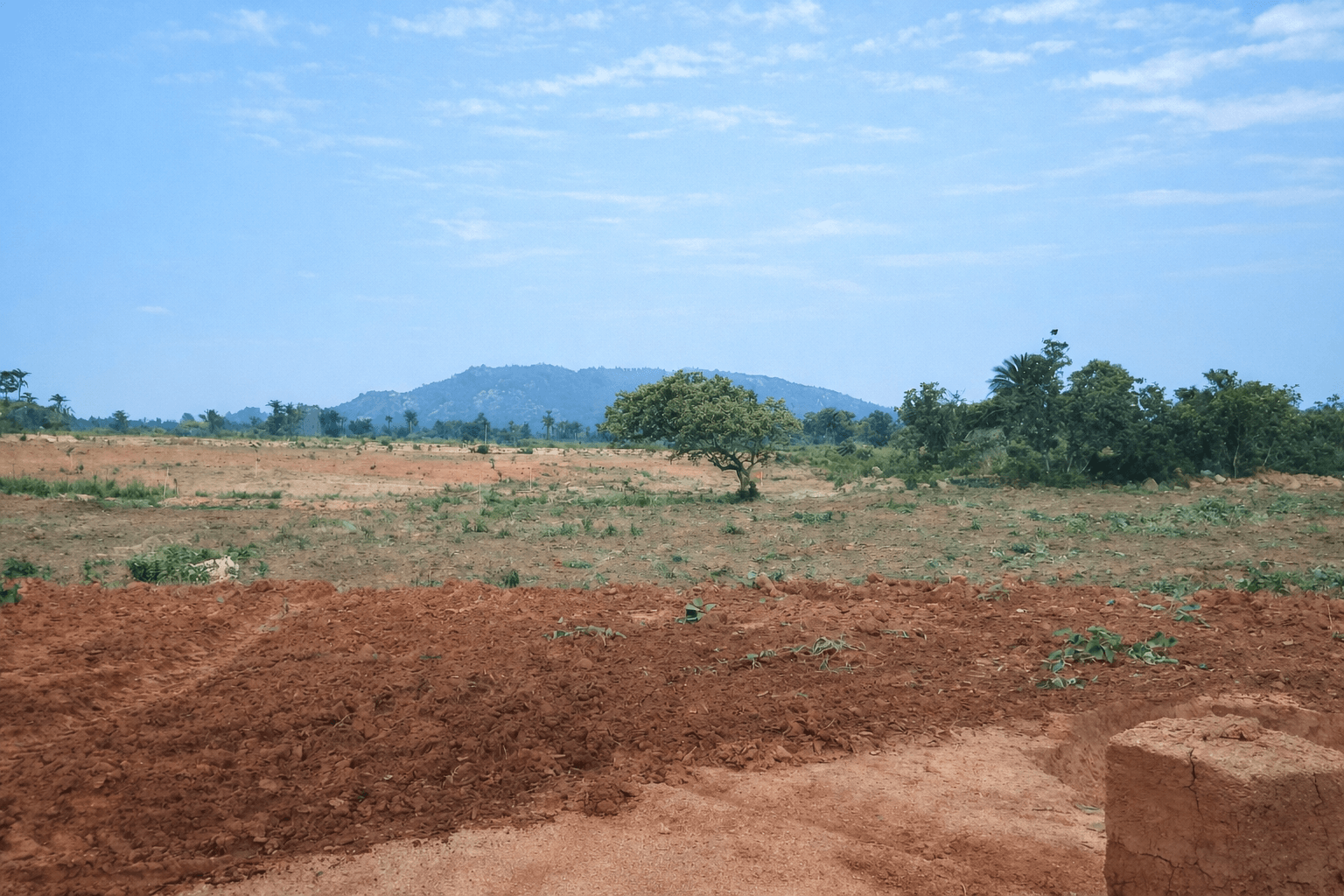 Land After Plowing