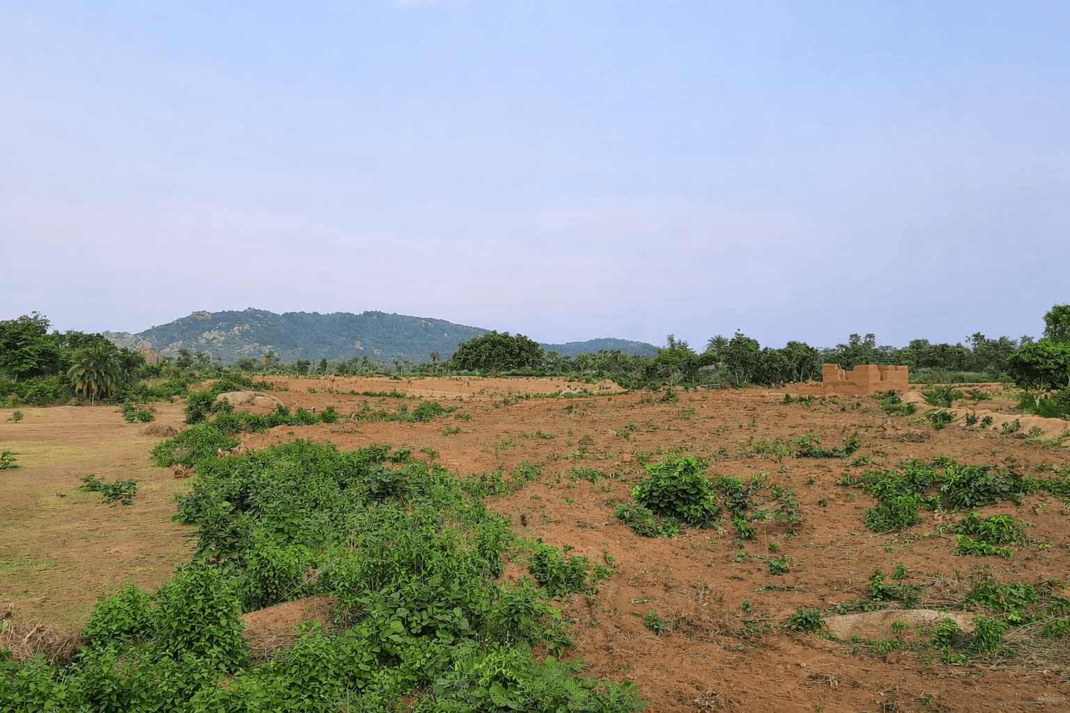 Preparation of Land